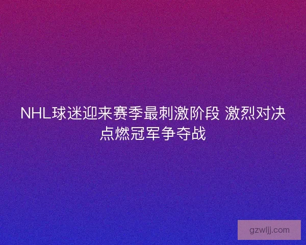 NHL球迷迎来赛季最刺激阶段 激烈对决点燃冠军争夺战
