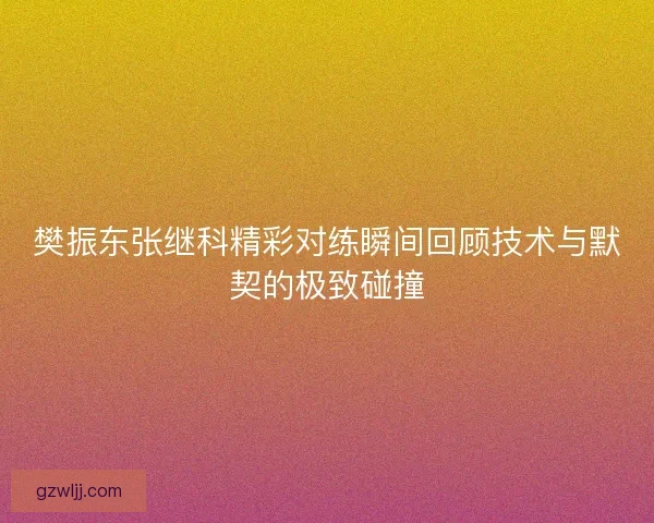 樊振东张继科精彩对练瞬间回顾技术与默契的极致碰撞 樊振东张继科精彩对练瞬间回顾技术与默契的极致碰撞
