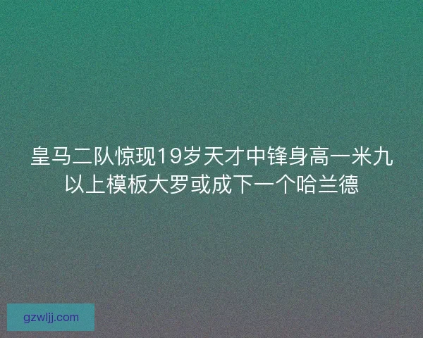 皇马二队惊现19岁天才中锋身高一米九以上模板大罗或成下一个哈兰德 皇马二队惊现19岁天才中锋身高一米九以上模板大罗或成下一个哈兰德